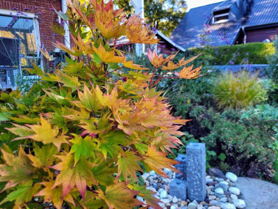 20211024_145815.jpg