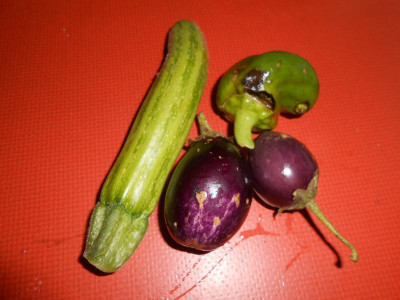 DSCN3216.JPG