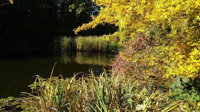 IMG_20211024_110312.jpg