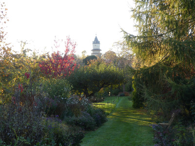 2021-10-24 Gartenimpressionen 3.jpg