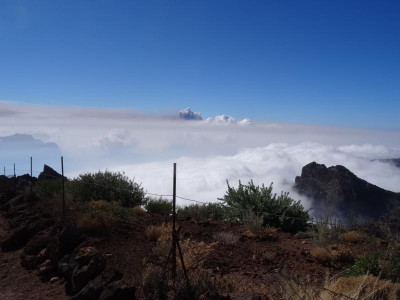 la_palma52.jpg