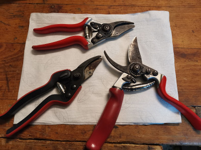 Felco 1.jpg