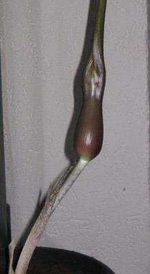 Unbenannt-Echtfarben-003.jpg