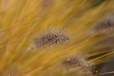 211028_092500-2.jpg