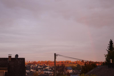 DSC09842.JPG