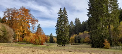 20211029_134409.jpg