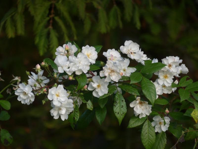 2021_1030OktoberEnde0038.JPG