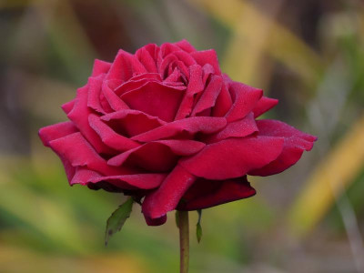 2021_1030OktoberEnde0115.JPG