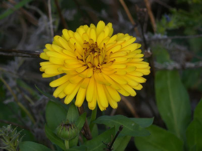 2021_1030OktoberEnde0067.JPG