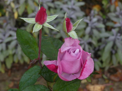 2021_1030OktoberEnde0089.jpg