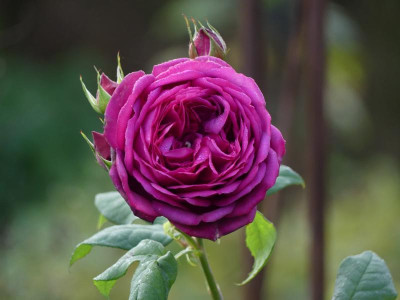 2021_1030OktoberEnde0099.jpg