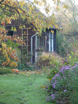 2021-10-30 Gartenimpressionen 5.jpg