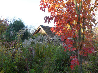 2021-10-30 Gartenimpressionen 12.jpg