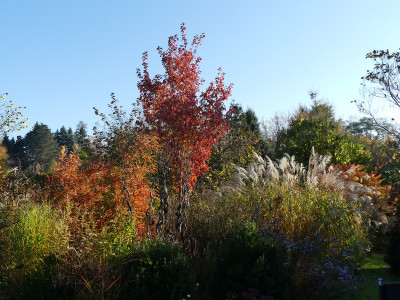 2021-10-30 Gartenimpressionen 21.jpg