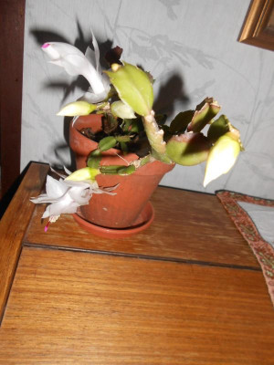 DSCN3213.JPG