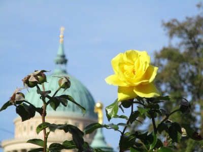 IMG_5362.JPG