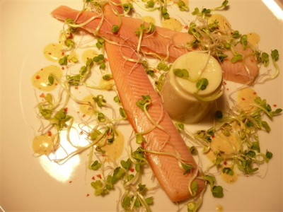 Wasabiflan.22.02.2008.00.JPG