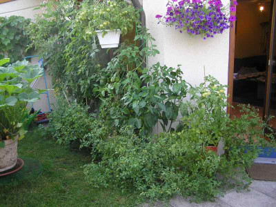 johtomate2005.jpg