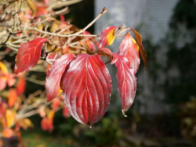 20211101134010.JPG