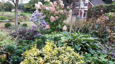 20200927_172935.jpg