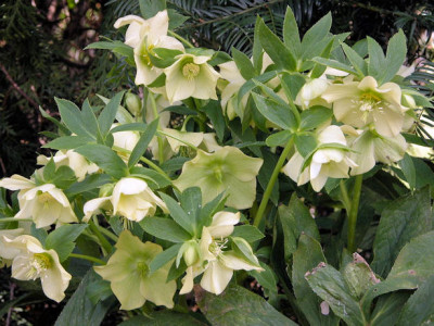 DSCN0027.jpg