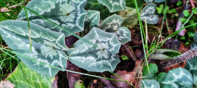 20211101_163717-01.jpeg