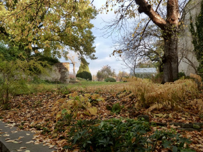tg_211101.jpg