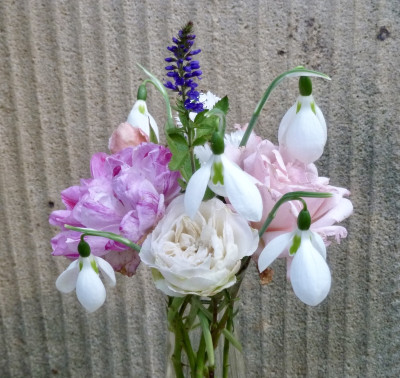 tg_211031.jpg
