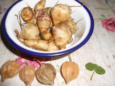 DSCN3287.JPG