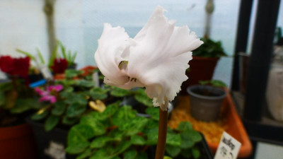P1280050.jpg