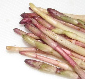 hopfenspargel2.JPG