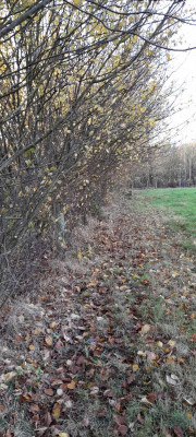 20211106_084656.jpg