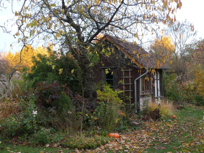 2021-11-06 Gartenimpressionen 2.jpg