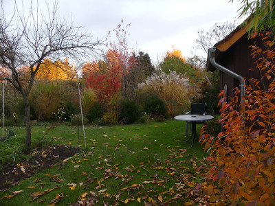 2021-11-06 Gartenimpressionen 3.jpg