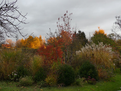2021-11-06 Gartenimpressionen 4.jpg