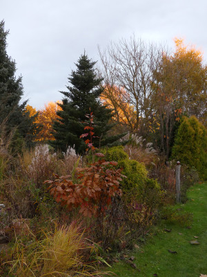 2021-11-06 Gartenimpressionen 5.jpg