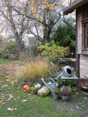 2021-11-06 Gartenimpressionen 8.jpg