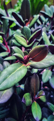 20210916_183758-01.jpeg