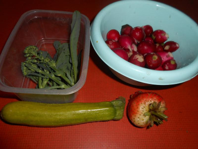 DSCN3297.JPG