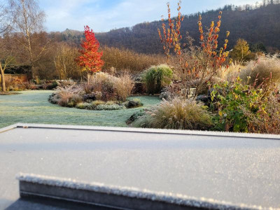 20211110_083047.jpg