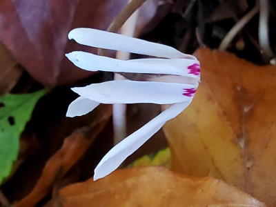 20211110_094753.jpg