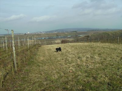 Landschaft_mit_Autobahn.jpg