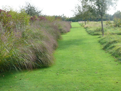 P1060374_1.JPG