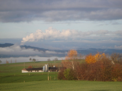 Nebelmeer_ueber_dem_See3.jpg