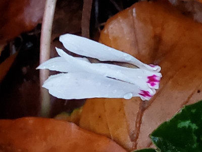20211111_093640.jpg
