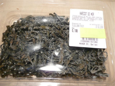 Haricot_de_mer.02.2008.JPG