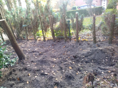 20211112_113216.jpg
