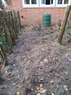 20211112_114356.jpg