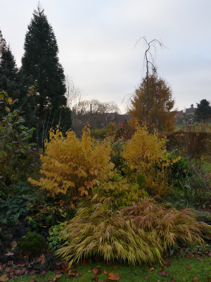 2021-11-12 Birkenhain 5.jpg
