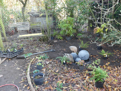 2021-11-13 Garteneinblick 1.jpg